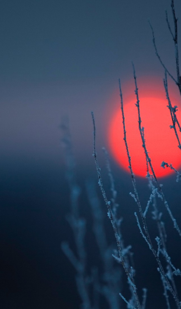 Kрасное пятно на  тёмном фоне