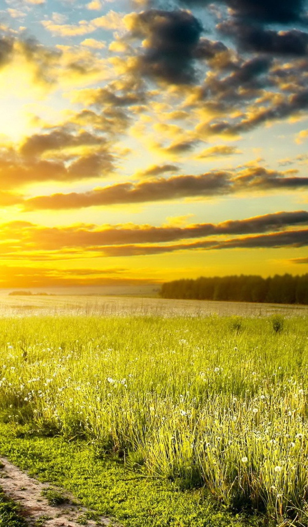 Дорога на закат