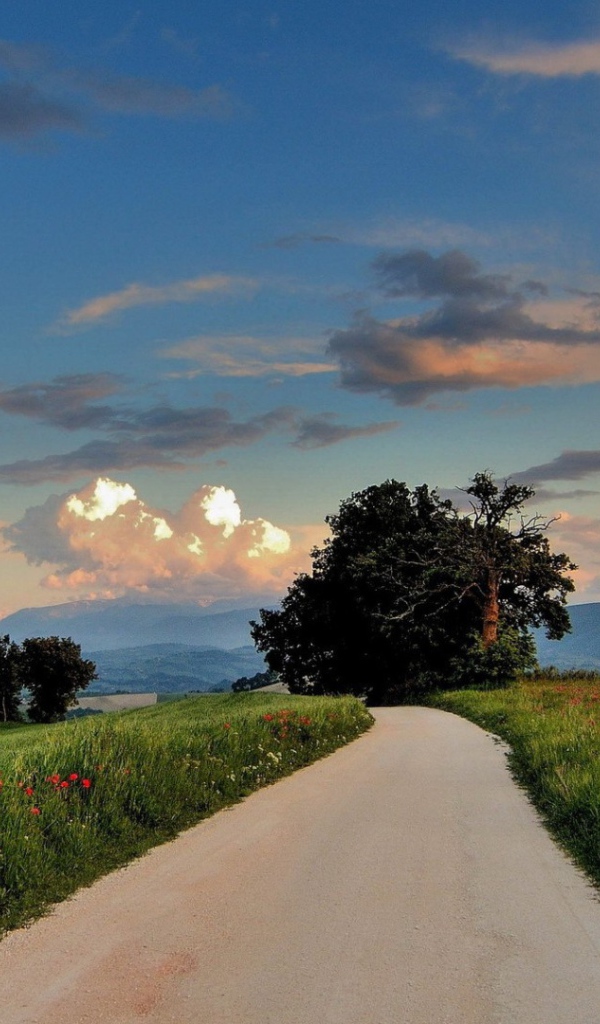 Дорога сельской местности