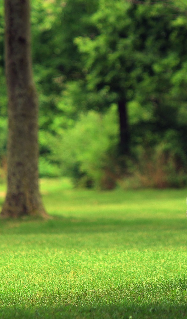 Бетонная скамъя в парке