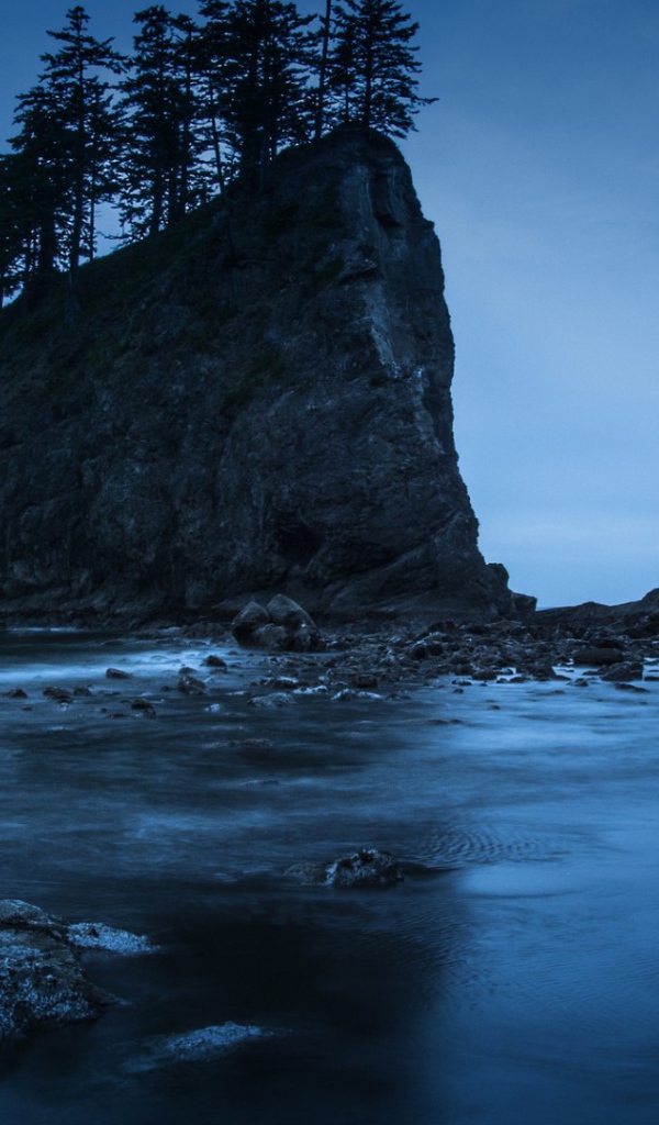 Деревья на прибрежной скале