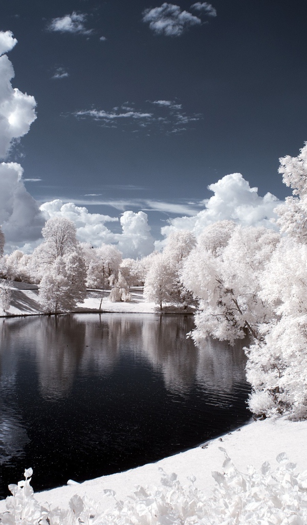 Заснеженный парк в Норвегии 