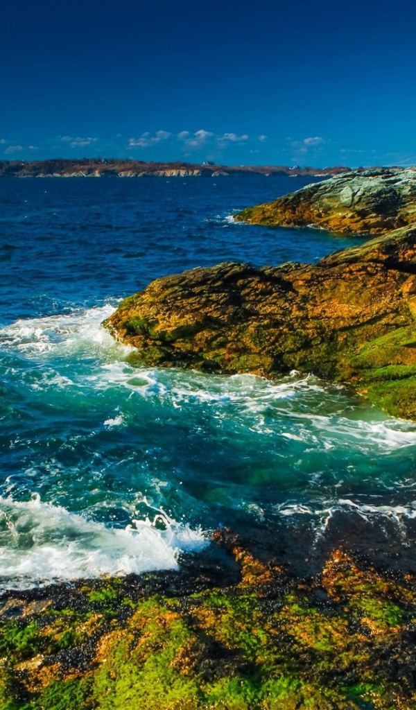 Буйное море