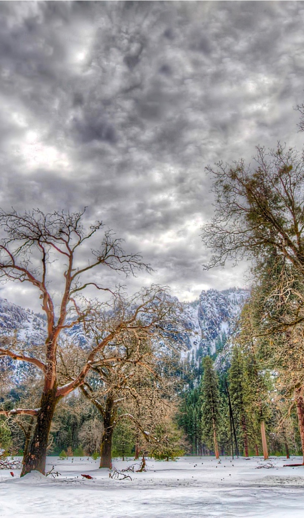 Зима в национальном парке