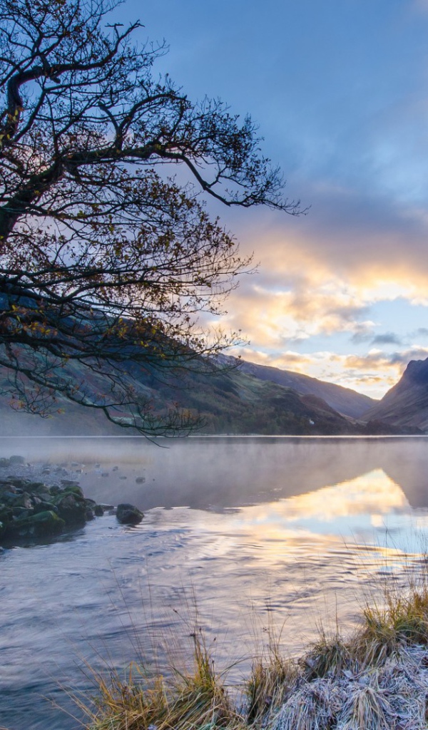 Ил на берегу