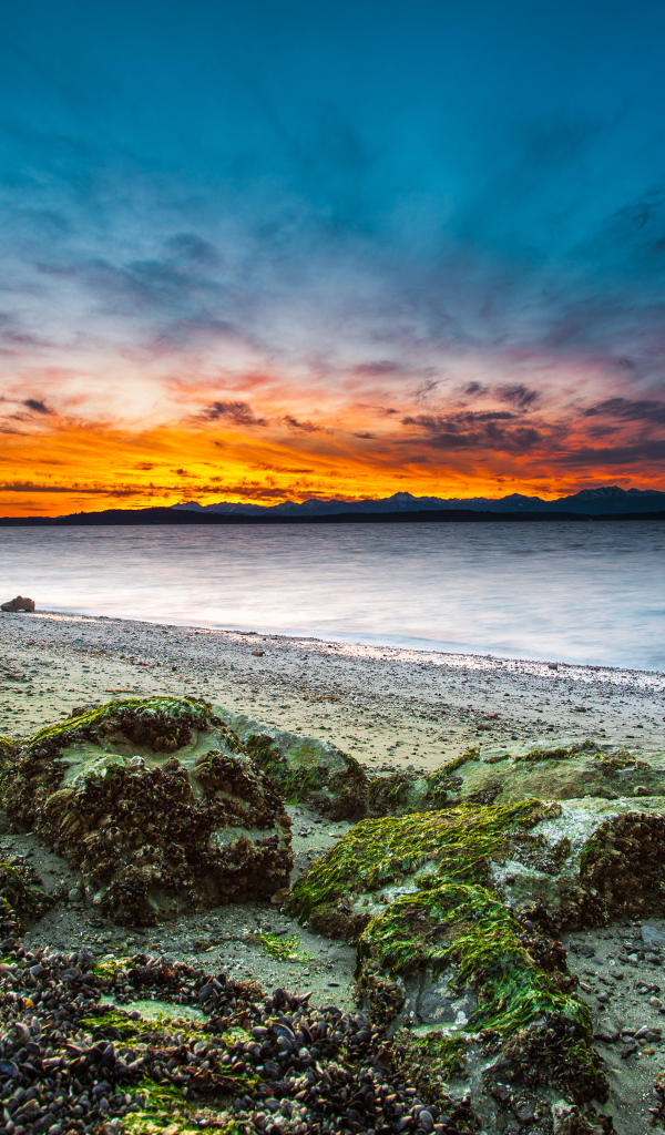 Алки пляж в Западном Сиэтле, штат Вашингтон, США