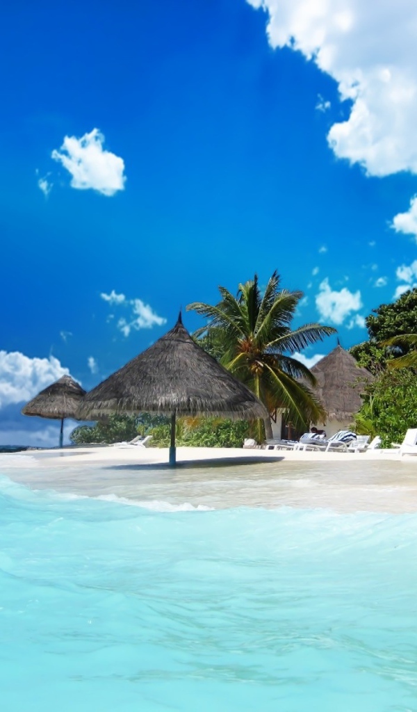 Жизнь пляжа