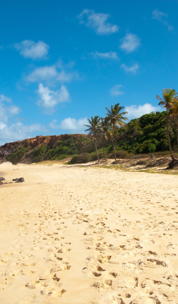 Пляж из золотого песка
