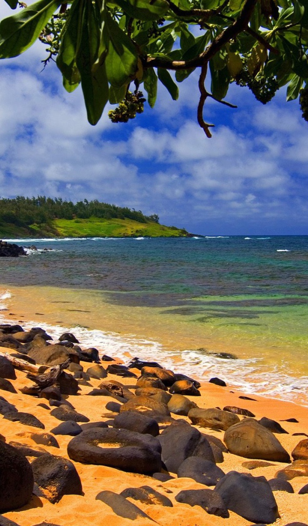 Пляж на Гавайях 