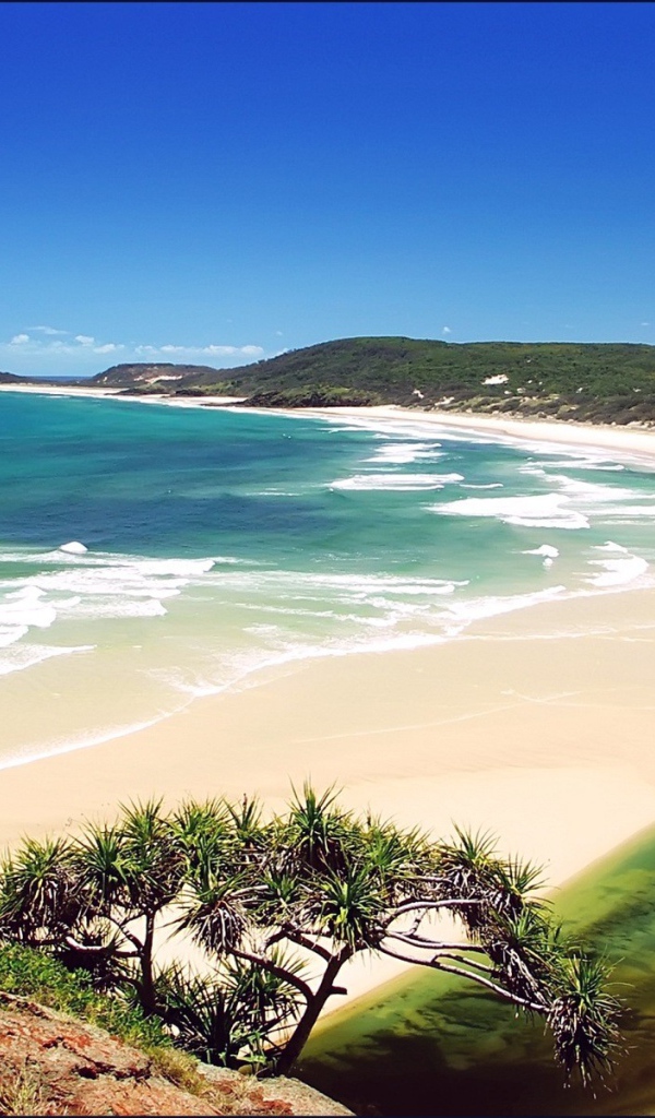 Вид на пляж с горы