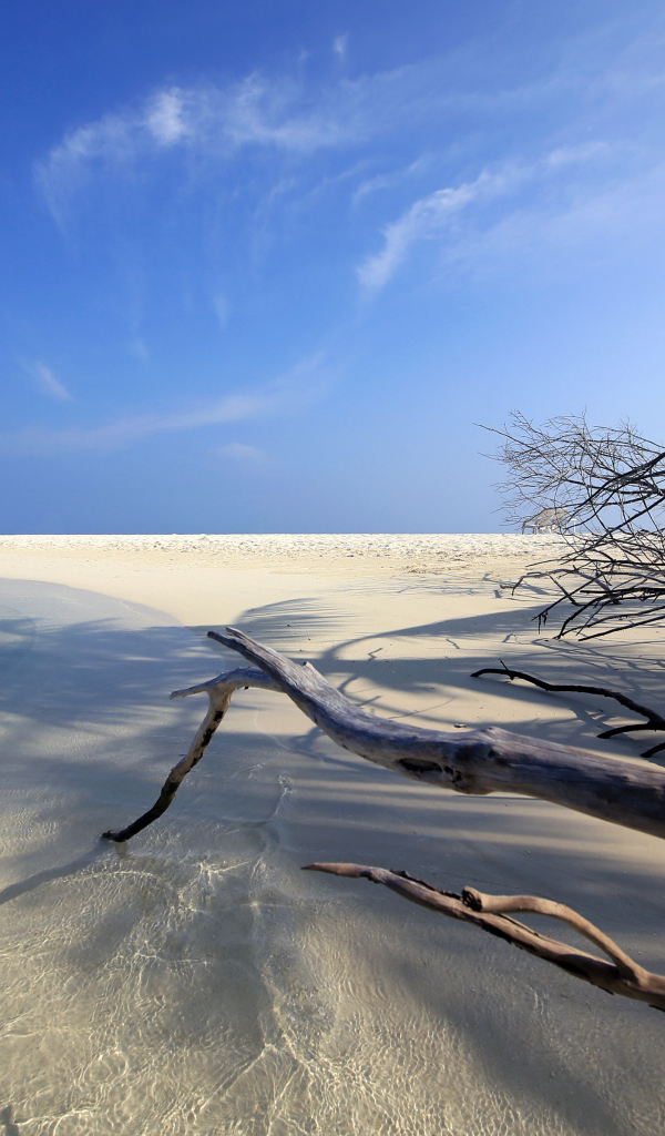 Красивый пляж под голубым небом