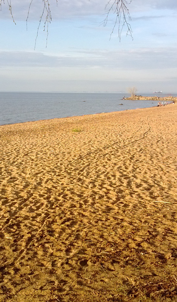 Красивый вид на золотой пляж