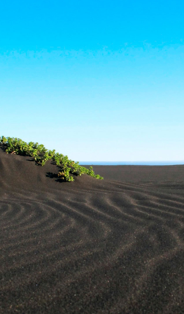 Пляж с черным песком