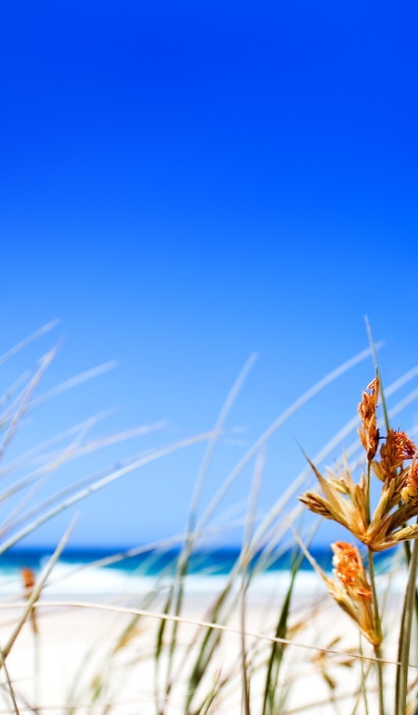 Чистое небо над пляжем