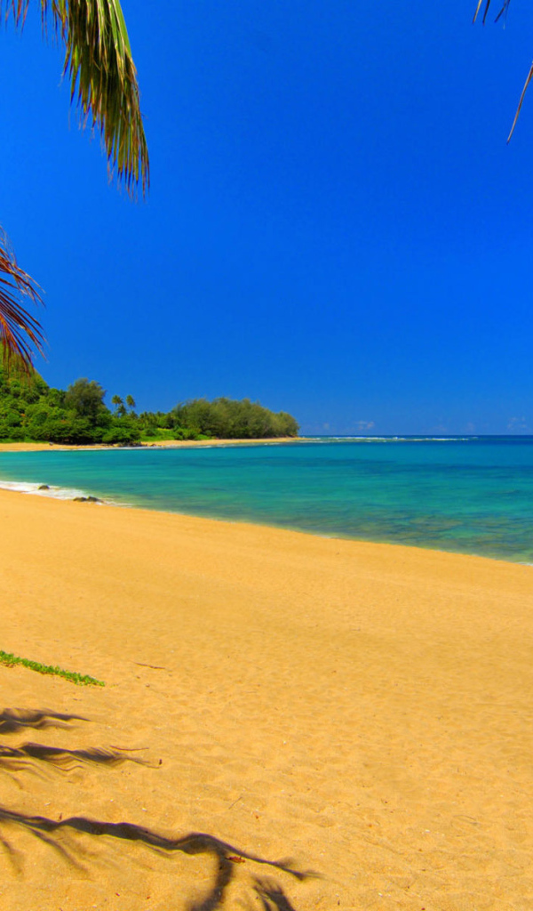 Золотой пляж на Крите