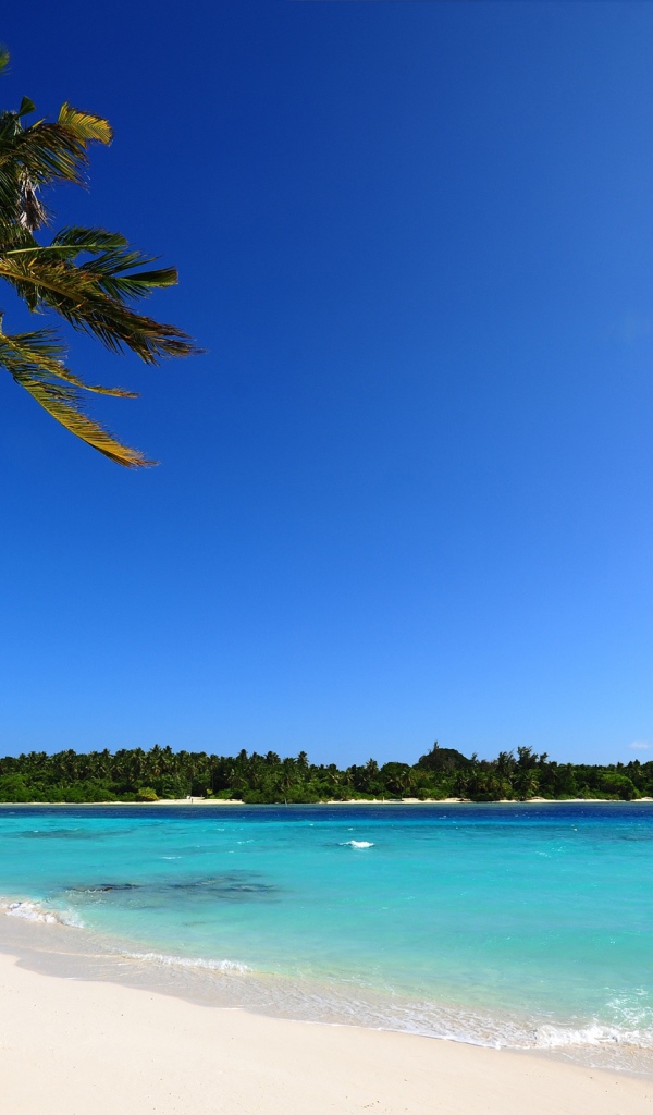 Пляж на Мальдивах 