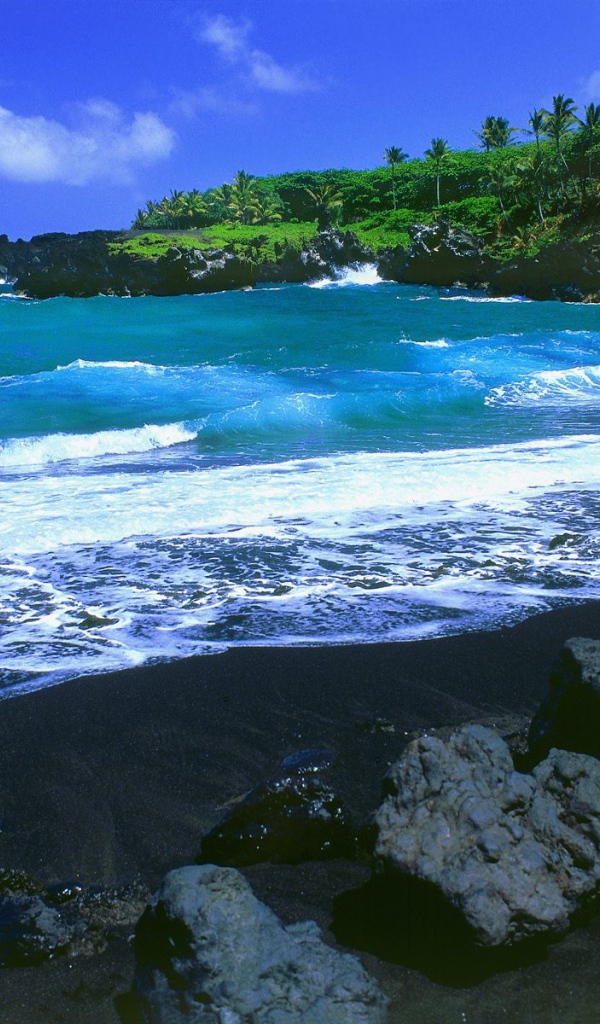 Красивый вид на черный пляж