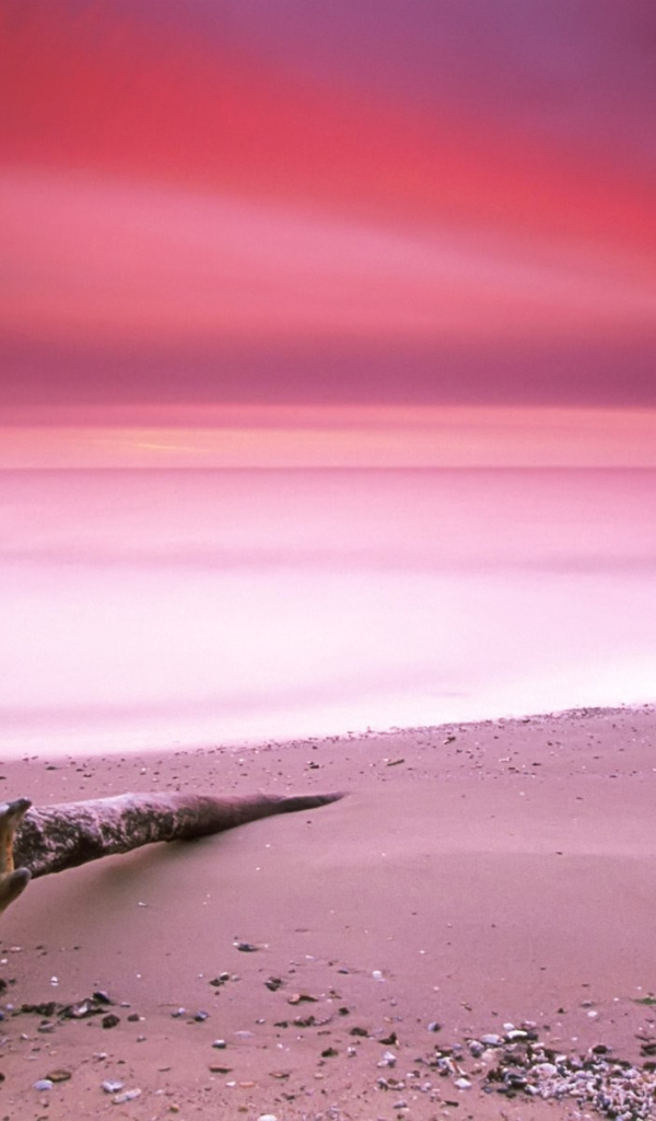 Пляж с розовым песком