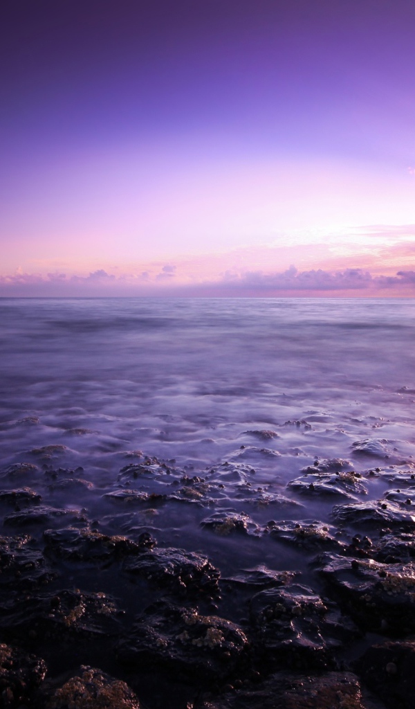 Фиолетовое небо