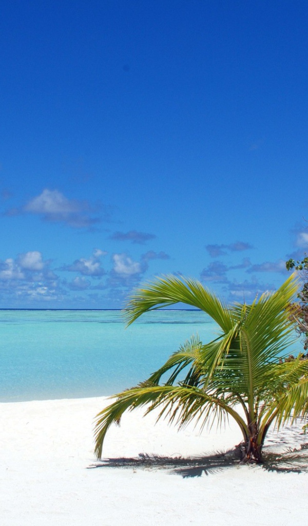 Пляж на Мальдивах