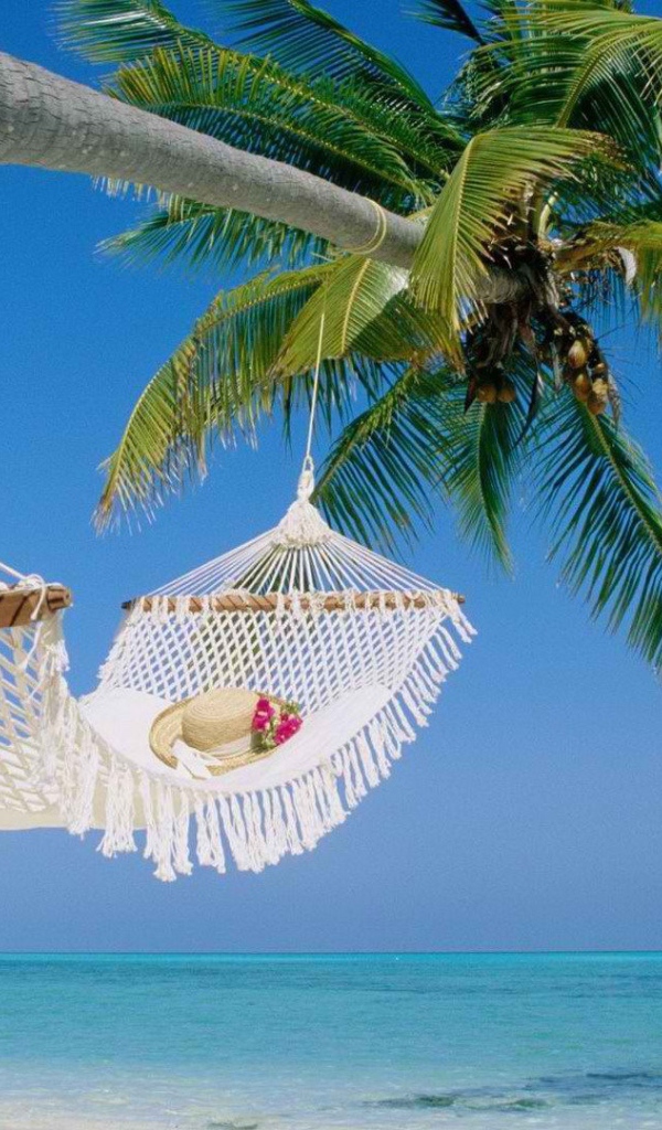 Гамак на пальме