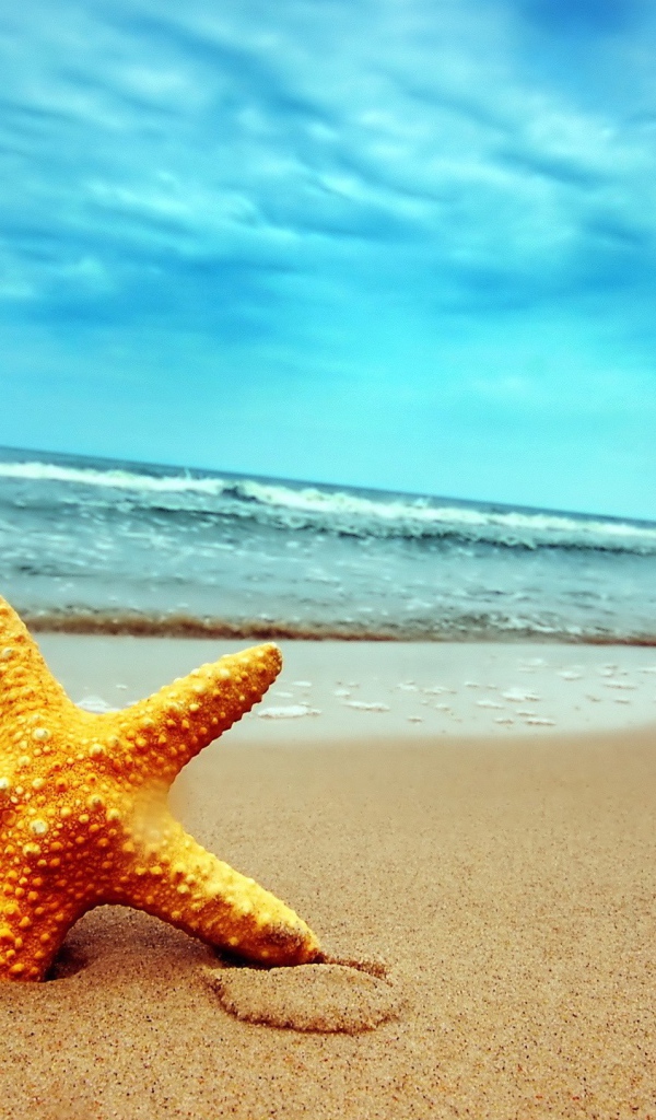 Морская звезда в песке пляжа