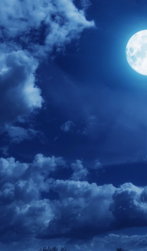 Облака в лунную ночь