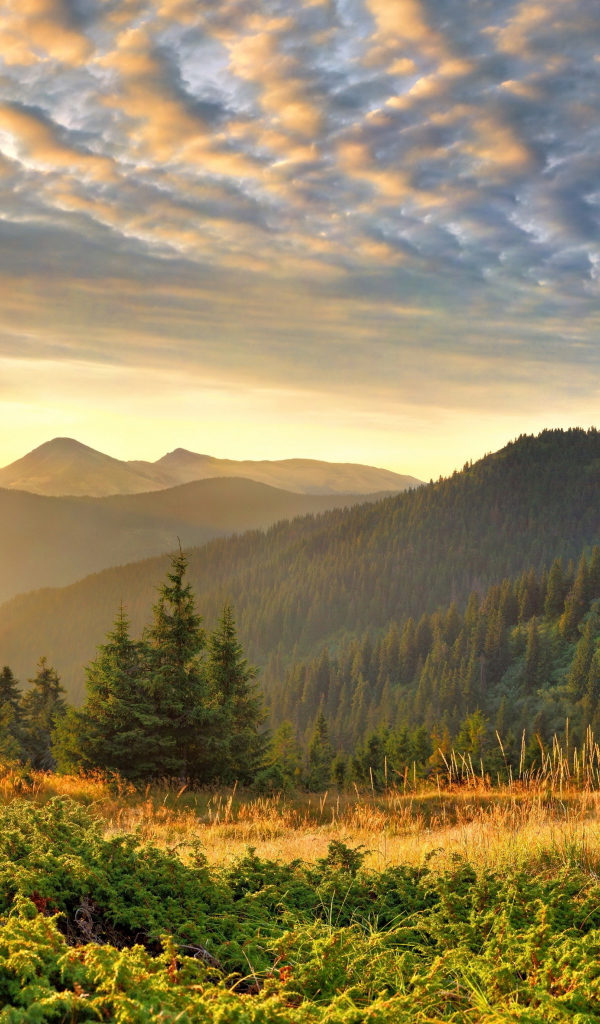 Облака в горах