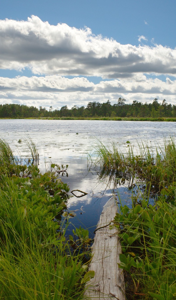 Облака над озером