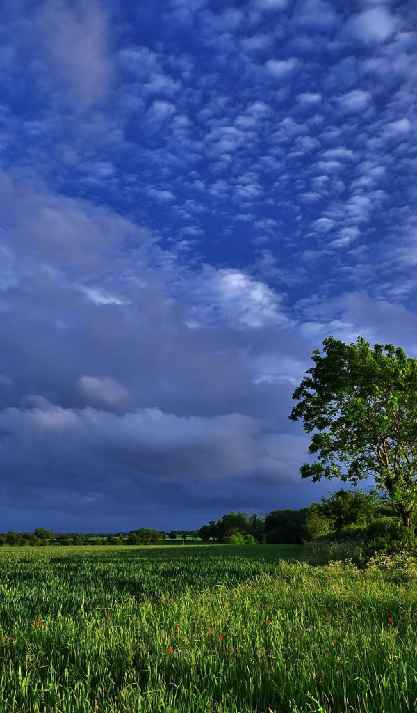 Облачное небо