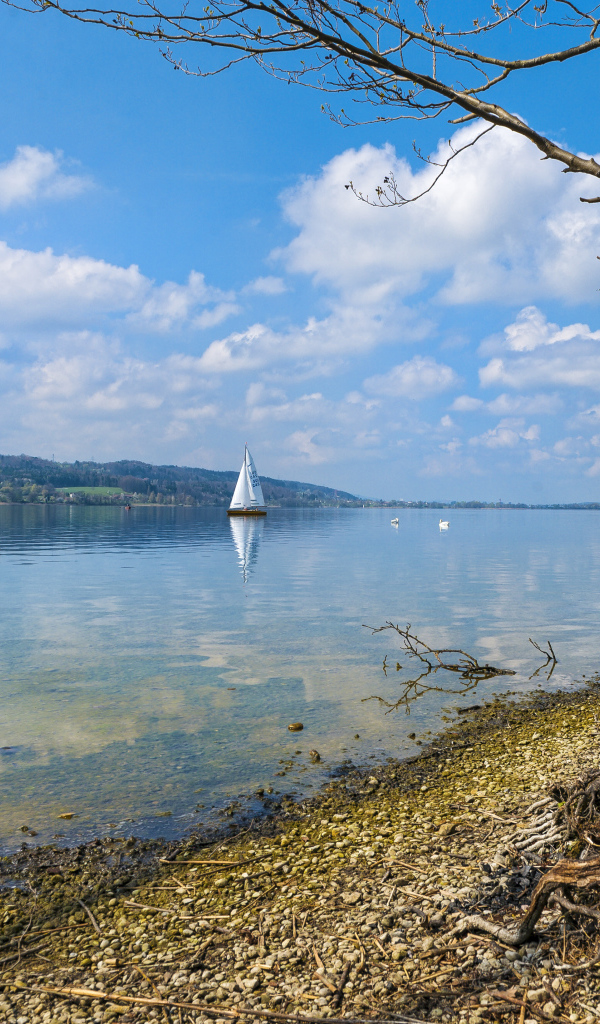 Редкие осенние облака
