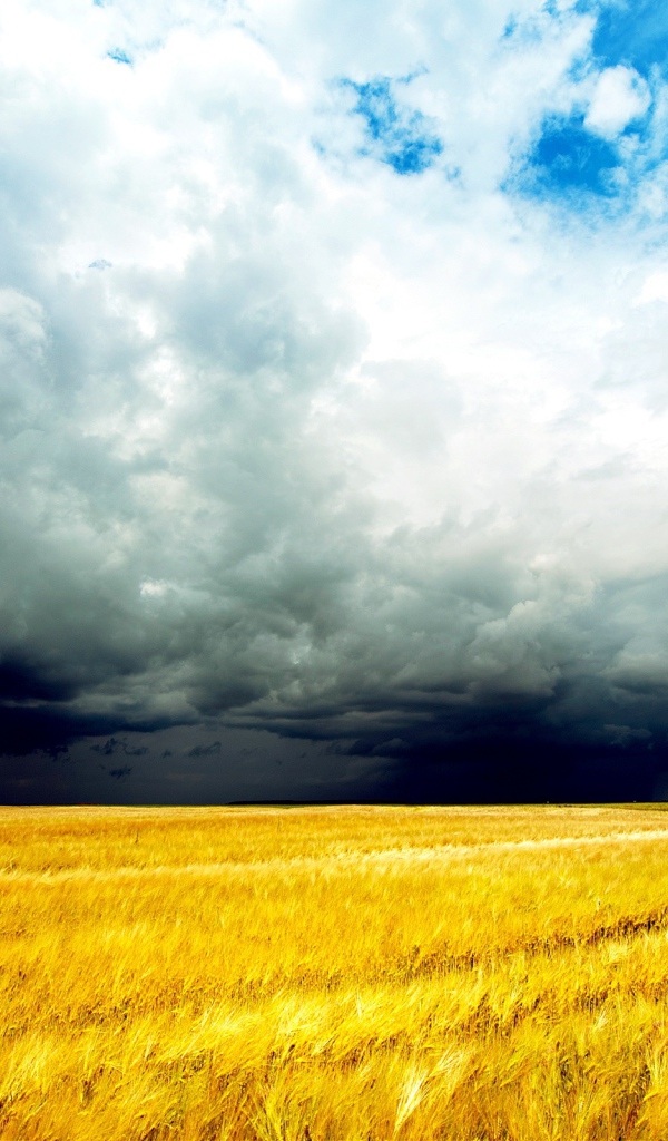 Грозовые облака