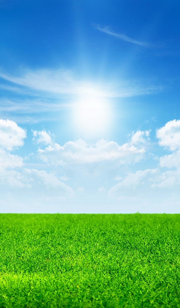 День солнечного света