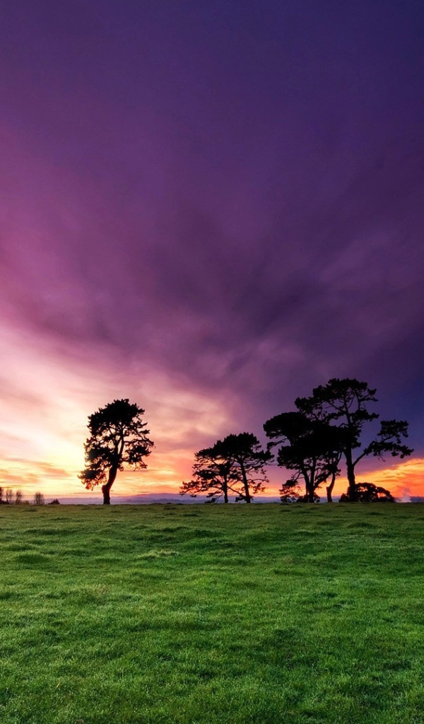 Утренние лучи солнца