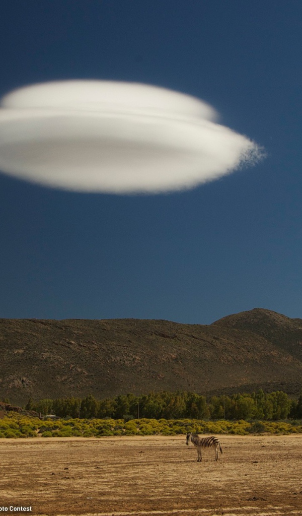 Облако в виде тарелки