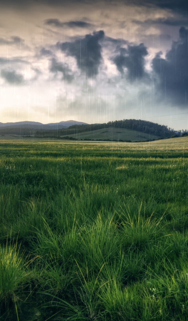 Черные тучи над полем