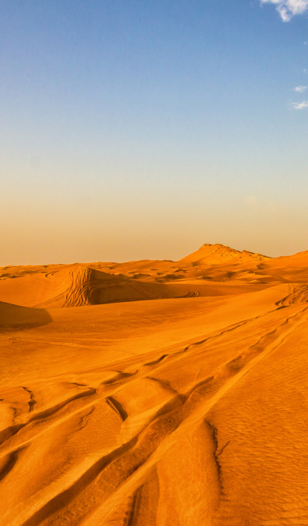 Во время сафари тура по пустыне в Дубае