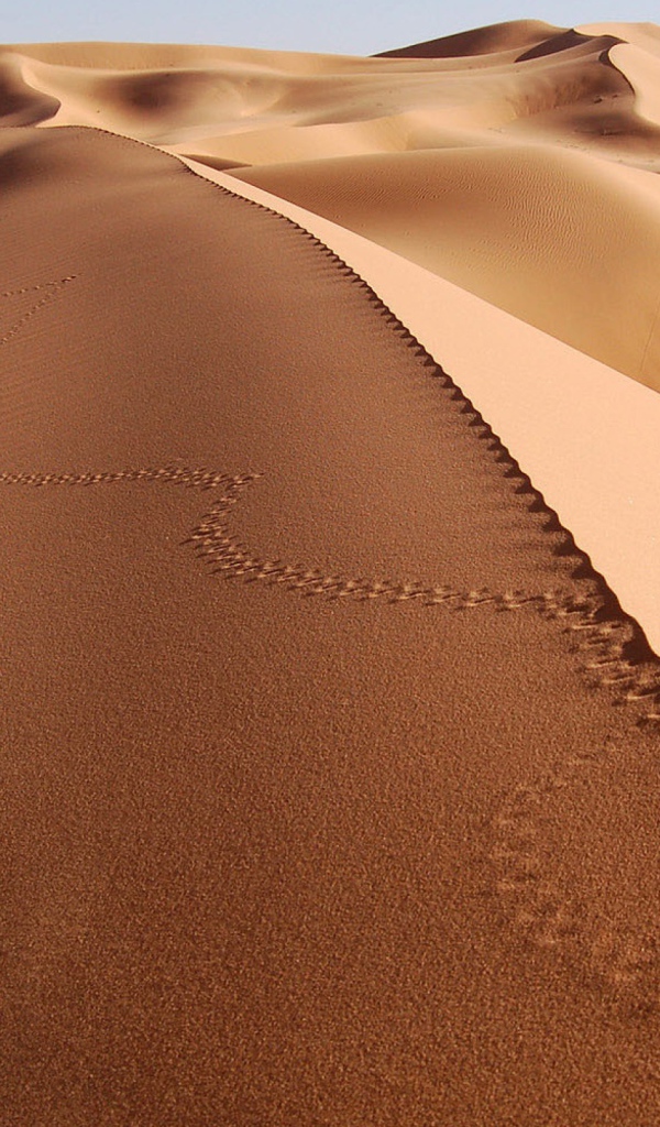 Следы на песке в пустыне