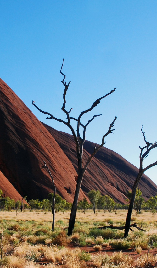 Пейзаж Австралии