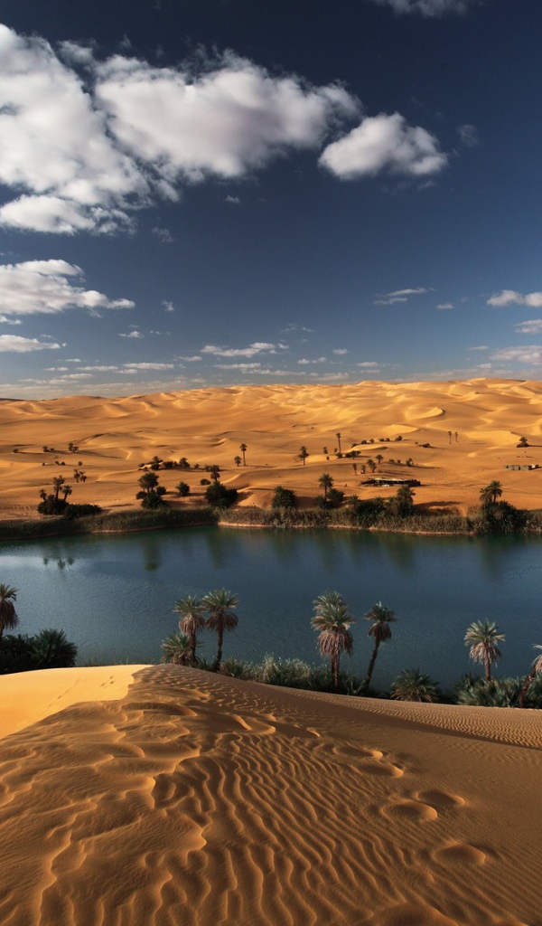 Оазис в пустыне Ливии