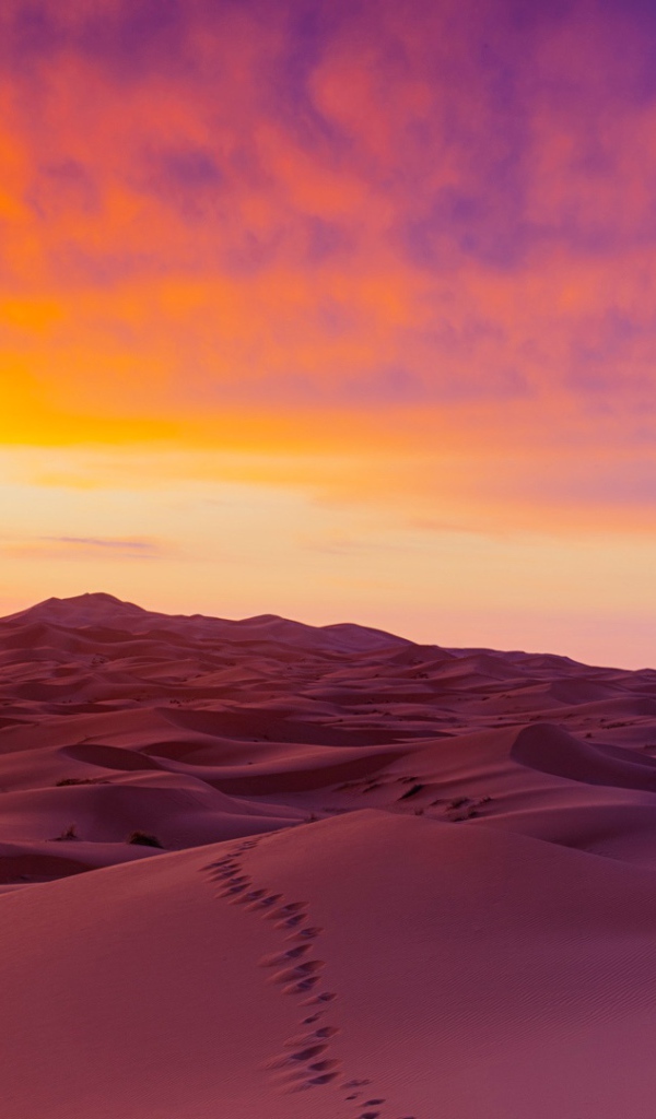 Дюны в пустыне Сахара