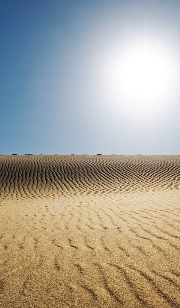 Солнечная пустыня 