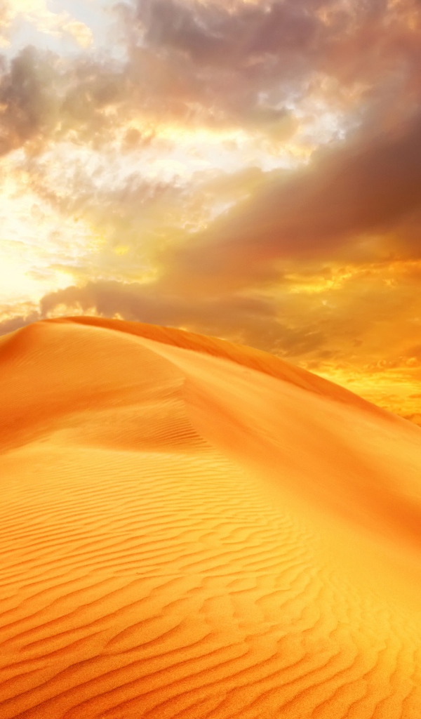 Золотой песок пустыни