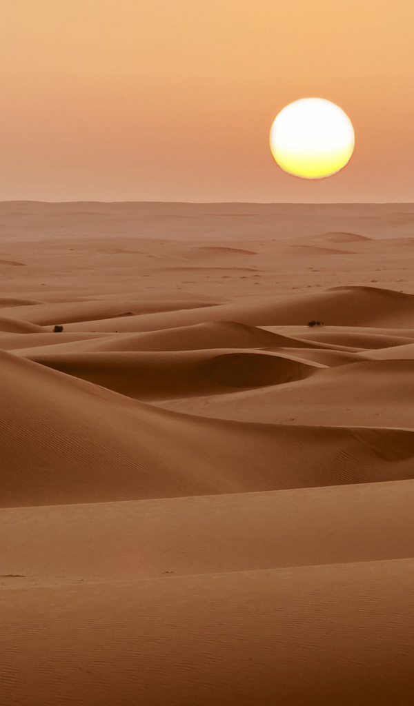 Солнце над пустыней
