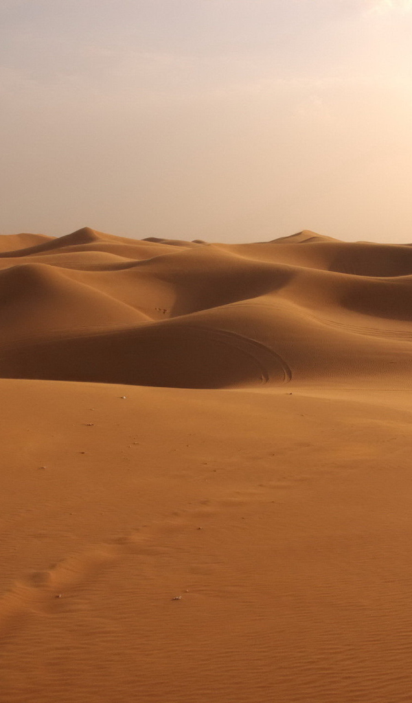 Следы на песке