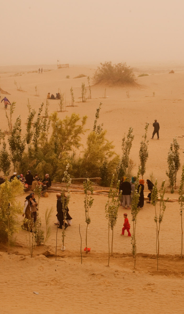 Жизнь в пустыне