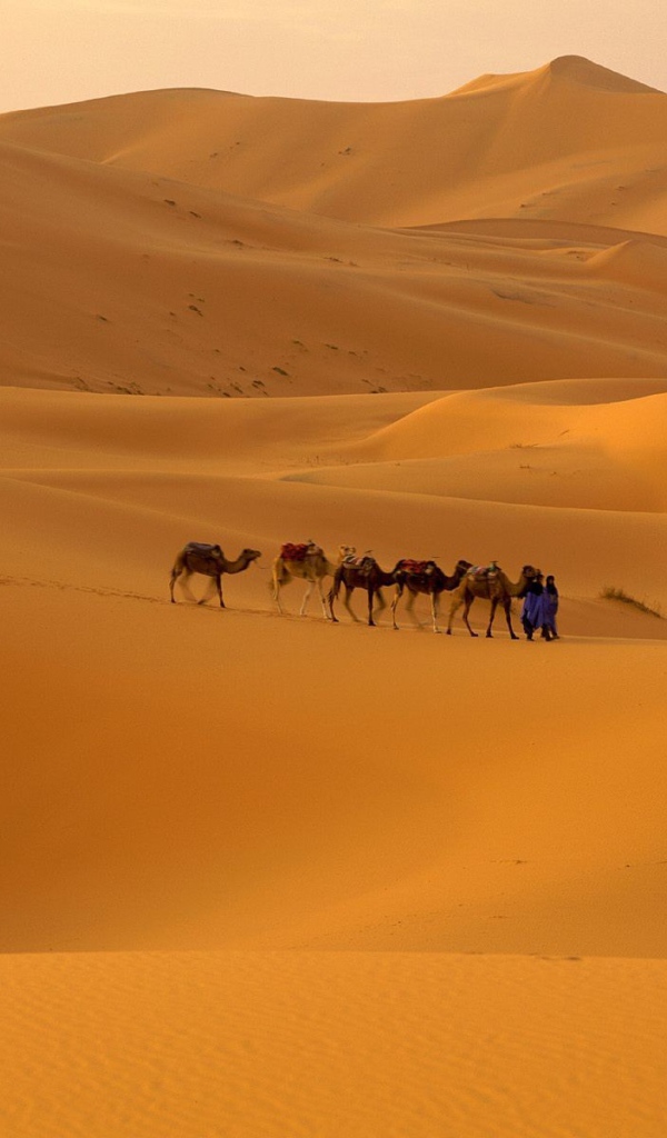 	   Morocco Sahara desert