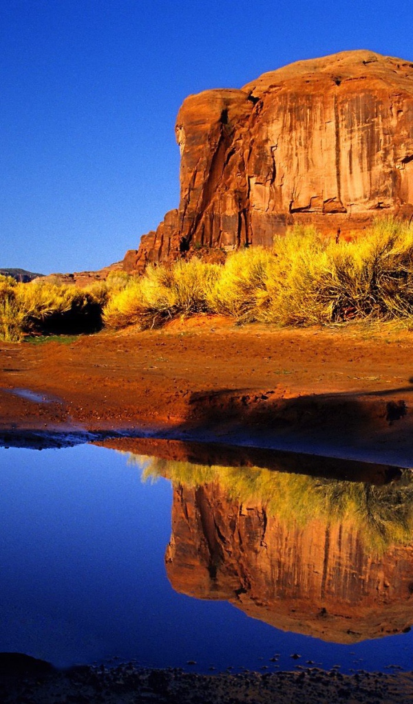 Лужа на дороге и воздушный шар