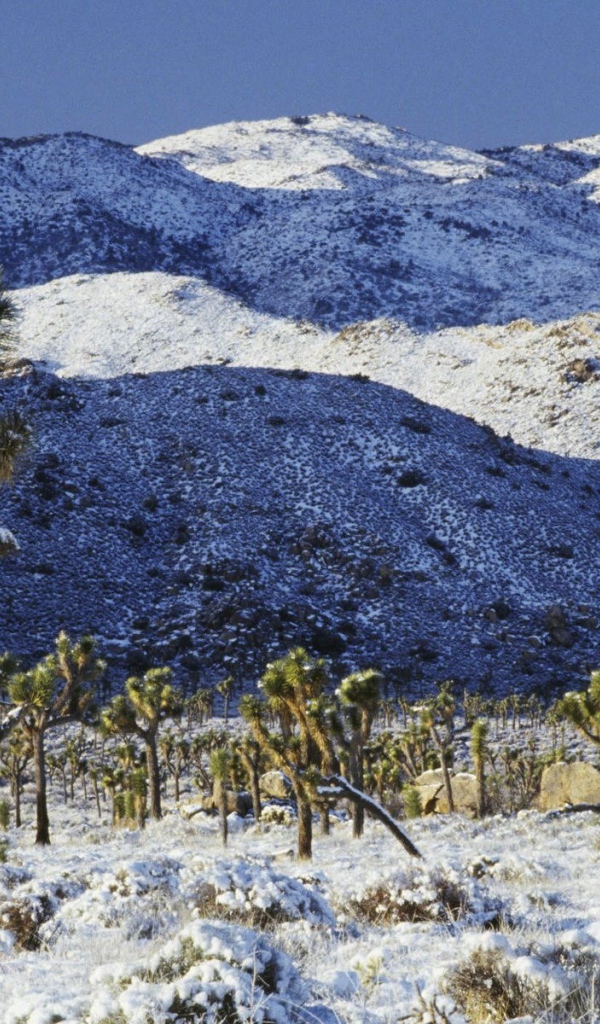 Покрытая снегом пустыня