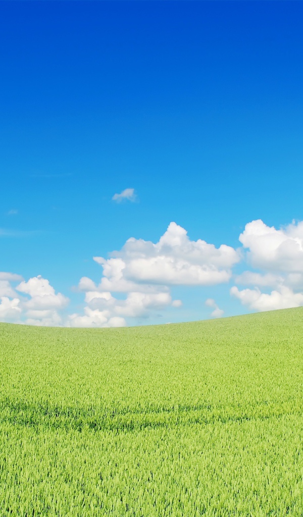 Прекрасный зеленый пейзаж